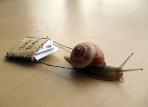 Real-Snail-Mail-Delivery